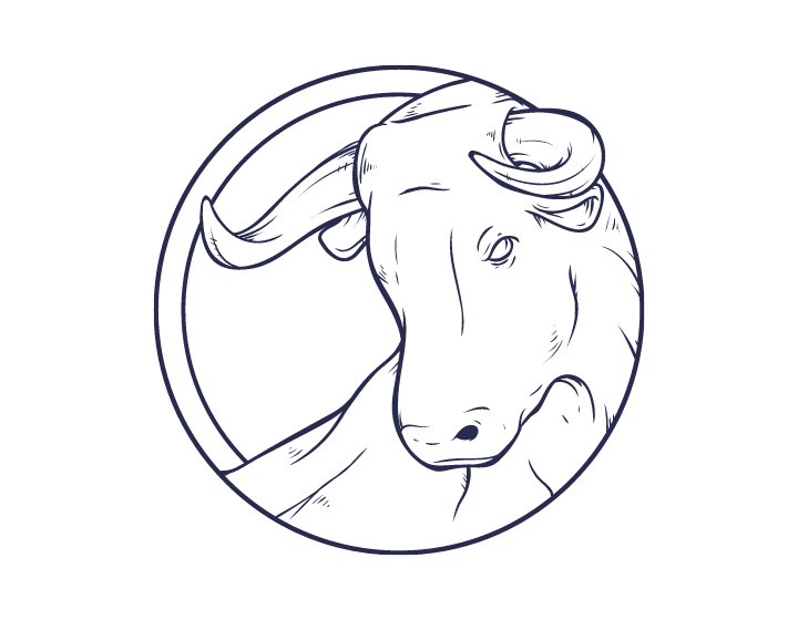 Stier in Liebe und Partnerschaft
