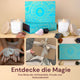 Widder (21.03 - 20.04) image
