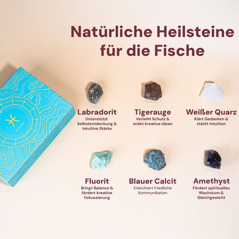 Fische (20.02 - 20.03) image