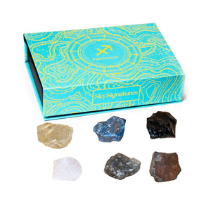 Schütze (23.11 - 21.12)